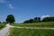 Trees and meadow in zollikon