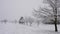 Trees and meadows under heavy snowfall