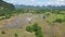 The trees in the middle of the rice fields in water and the green mountains