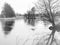 Trees mirrored in water - flowing river landscape in black and white