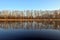 Trees mirroring in calm river