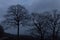 Trees in the Mist, Blue Ridge Parkway, Great Smoky Mountains