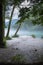 trees in misty confluence of Soca and Tolminka river in Slovenia