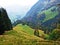 Trees and mixes forests in the Obertoggenburg region, Stein