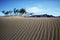 Trees and mountain on top of sand dune