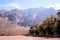 Trees and mountains in Andes, Santiago, Chile