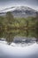 Trees and Mountains at Uath Lochan in Glen Feshie, Scotland.