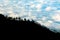 Trees on the mountainside against the background of storm clouds. Light and shadow