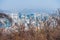 Trees in Namsan Mountain in winter with snow on the ground, with backgroud of hazy cityscape of downtown of Seoul, South Korea