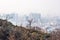 Trees in Namsan Mountain in winter with snow on the ground, with backgroud of hazy cityscape of downtown of Seoul, South Korea