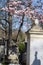 Trees and nature in cemetery - sunny daylight over ancient tombstones