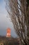 Trees in Neuchatel town in Winter, Switzerland, Europe