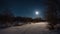 trees at night desert path in moonlight