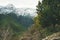 Trees with oranges in mountain garden and snowy peaks