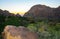 Trees and other desert plants growing on stone rocks in the mountains in Big Bend National Park in Texas.