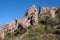 Trees and other desert plants growing on stone rocks in the mountains in Big Bend National Park in Texas.