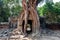 Trees and other vegetation grows among the gopura of 12th century Ta Som temple, Cambodia. Historical Angkor landmark