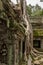 Trees overgrowing Ta Prohm temple, known as the Tomb Raider temple, in Angkor Archaeological Park, Siem Reap, Cambodia