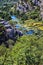 Trees overgrown by green vines flanking flowing River.