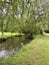 Trees overhanging a river