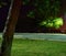 Trees in a parking lot at night in Cleveland, Ohio