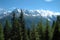 Trees, peaks and Mont Blanc nearby Chamonix in Alps in France