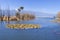 Trees planted in lake in wetland park 2