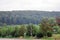 Trees plants grass and greenery in the highway of Rosenheim new autobahn Germany