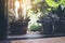 Trees and plants in pots outside glass window with green nature