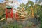 Trees and a playground are ripped up from Hurricane winds.