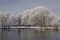 Trees with pond landscape Bad Laer, Germany