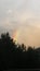 Trees and rainbow view