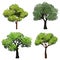 Trees realistic. Nature garden botanical collection trees with green leaves vector illustrations