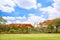 Trees and red flower and grass field with blue sky