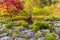 Trees with red leaves on hillside