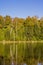 Trees Reflect In Pond With Autumn Colors