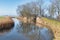 Trees reflect in water on a winter day in Groningen, Netherlands