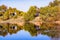 Trees reflected in the calm waters of the wetlands of Merced National Refuge on a sunny fall day; Central California