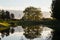 Trees reflected in clear water natural moment