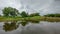 Trees Reflected in a Glassy Lake - Landscape