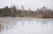 Trees reflected in the melting lake