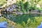 Trees reflected on the river water surface. Reflection of Trees on River Water Surface in Spring Forest.