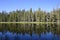 Trees reflected in Siesta Lake