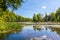 Trees reflected in a small pond with a beaver lodge