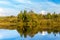 Trees are reflected in water on the bank of a calm river