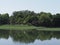 Trees reflected in waters of breeding pond in Goczalkowice in Poland