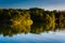 Trees reflecting in Duck Creek in Essex, Maryland.