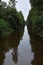 Trees reflecting in a long straight Dutch canal in Overijssel