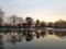 Trees Reflecting in Pond during Sunset.