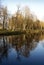 Trees reflecting on water